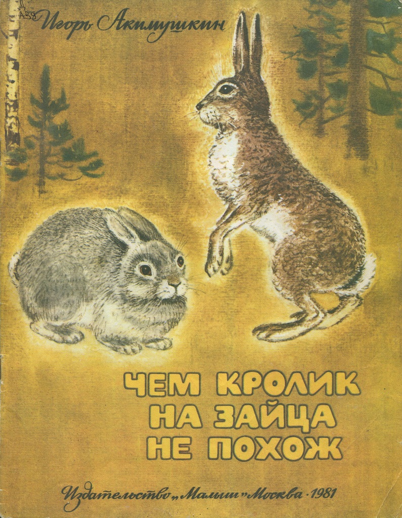 Мир природы – это удивительный пример мудрости, красоты и гармонии. Именно мир животных особенно близок каждому из нас. И. Акимушкин