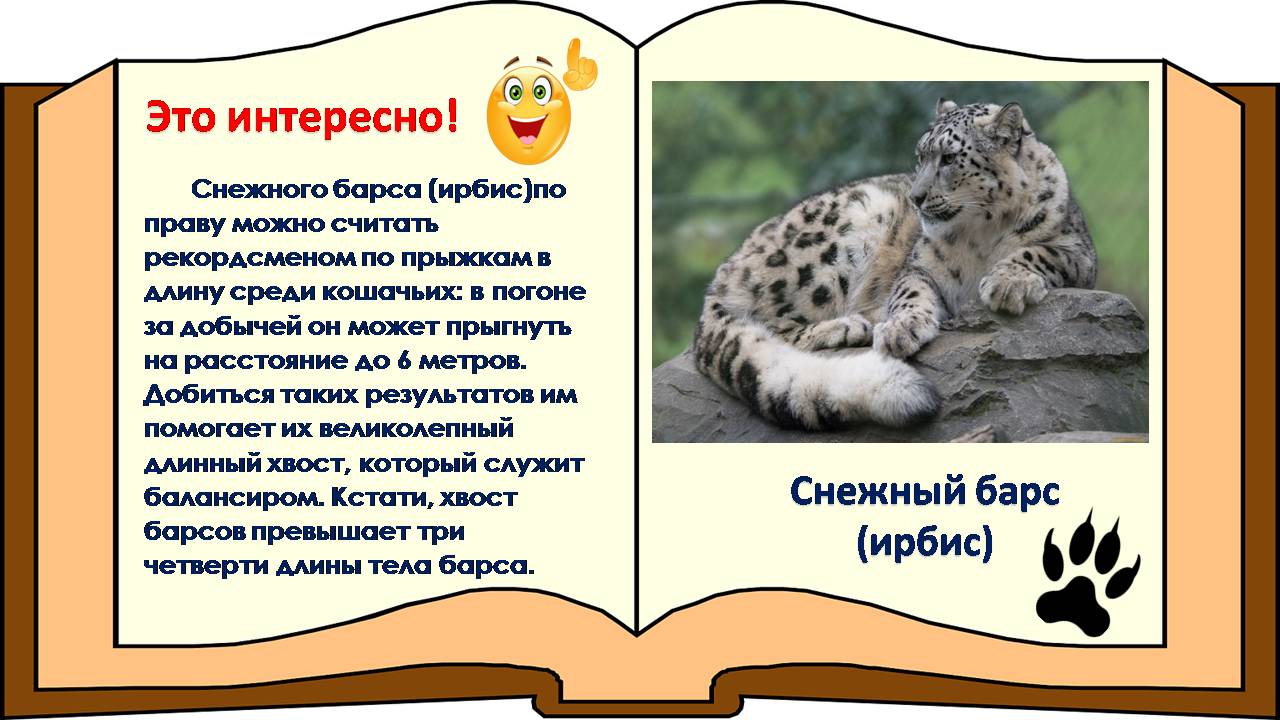 Мир природы – это удивительный пример мудрости, красоты и гармонии. Именно мир животных особенно близок каждому из нас. И. Акимушкин